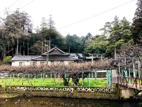 西寒多神社の庭園