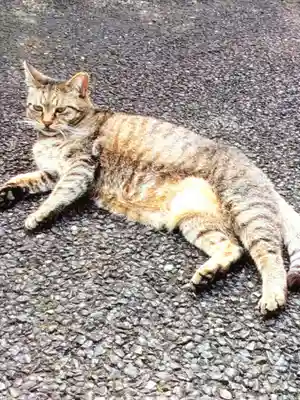 白金氷川神社(東京都)