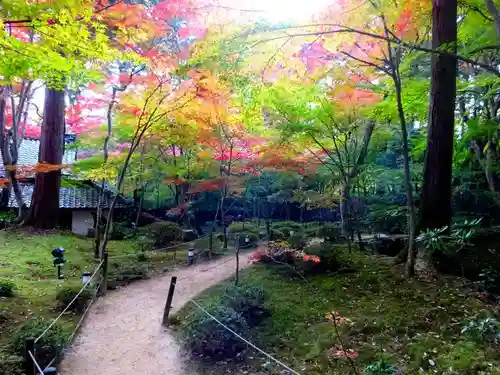 教林坊(滋賀県)