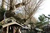 海南神社(神奈川県)