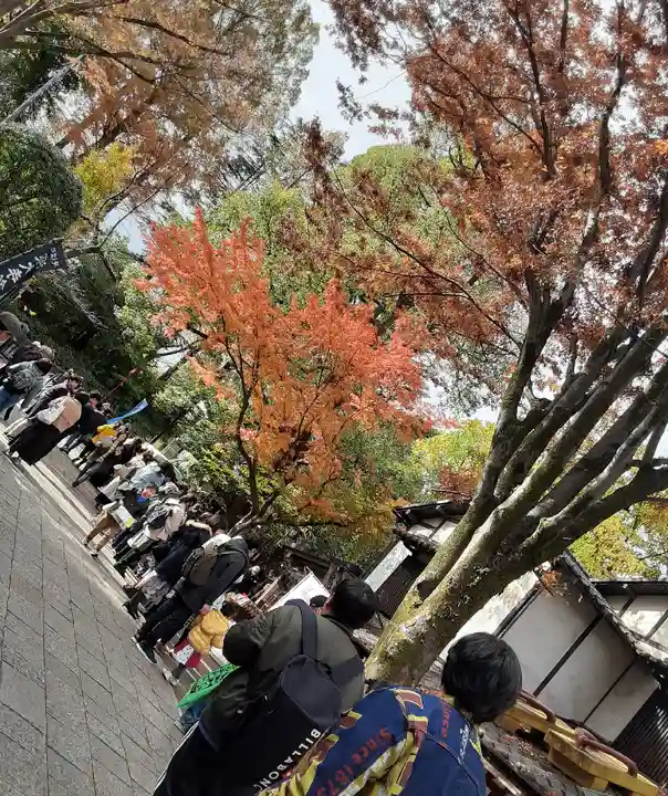 深大寺(東京都)