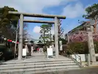 桜神宮(東京都)