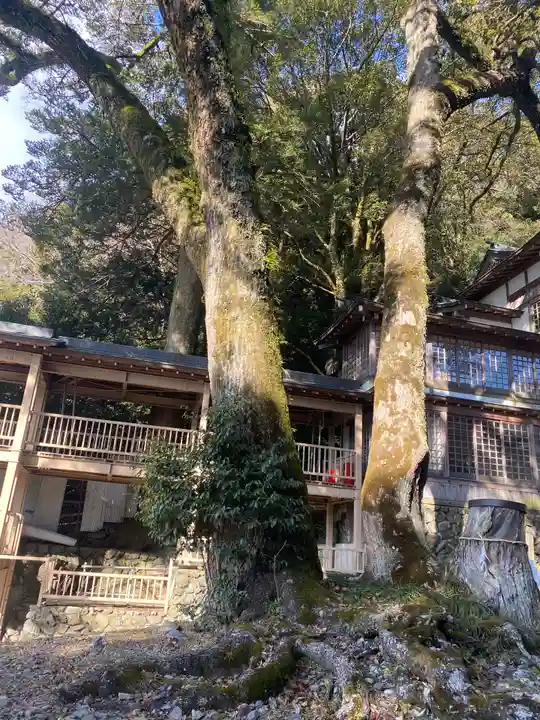 多度大社の自然