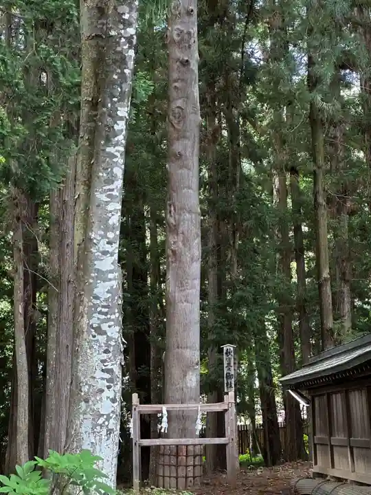 諏訪大社下社秋宮(長野県)