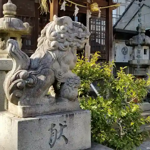 亀戸水神社の狛犬