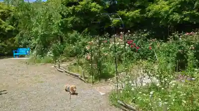 呑山観音寺(福岡県)