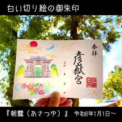 写真は、後ろから日光を当てています。