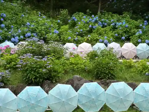 尊永寺(静岡県)