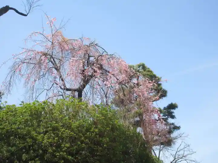養玉院如来寺(東京都)