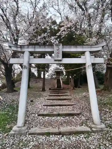 浅間神社の{uncategorized: "未分類", other: "その他", undefined: "問題あり", building: "その他建物", grave: "お墓", sacred_gate: "鳥居", guardian: "狛犬", statue: "像", buddha: "仏像", history: "歴史", nature: "自然", garden: "庭園", animal: "動物", pagoda: "塔", temizu: "手水舎", mountain_gate: "山門・神門", sanctuary: "本殿・本堂", subordinate: "末社・摂社", art: "芸術", scenery: "景色", jizo: "地蔵", ema: "絵馬", goshuin: "御朱印", omikuji: "おみくじ", items: "授与品その他", amulet: "お守り", goshuincho: "御朱印帳", eats: "食事", festival: "お祭り", votive_dance: "神楽", shichigosan: "七五三参", wedding: "結婚式", experience: "体験その他", initially: "初詣", around: "周辺", anti_infection: "感染症対策"}