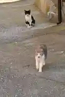 賀茂神社(愛媛県)