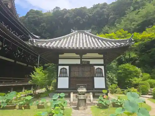 三室戸寺(京都府)