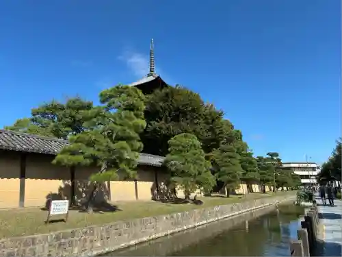 東寺（教王護国寺）(京都府)