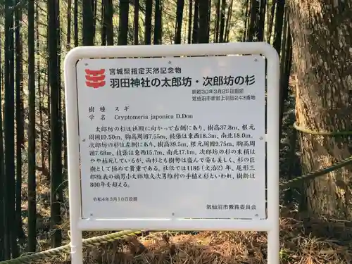 羽田神社のその他建物