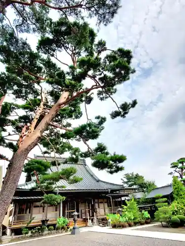 道因寺の本殿・本堂