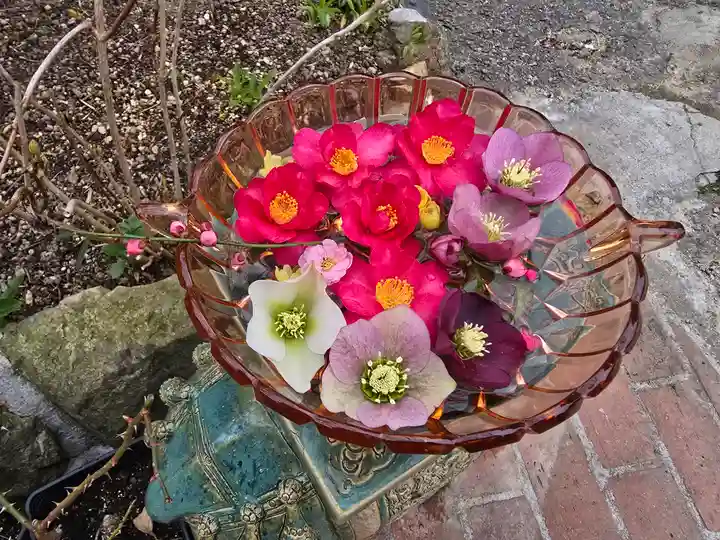 円照寺(兵庫県)