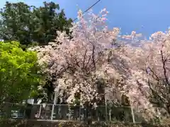 坂本八幡神社(徳島県)