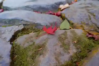 毘沙門堂門跡のその他建物