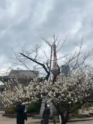 増上寺(東京都)