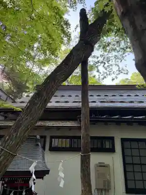 新屋山神社(山梨県)
