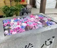 蛇窪神社の手水舎
