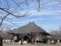 教信寺の本殿