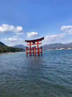 厳島神社の{uncategorized: "未分類", other: "その他", undefined: "問題あり", building: "その他建物", grave: "お墓", sacred_gate: "鳥居", guardian: "狛犬", statue: "像", buddha: "仏像", history: "歴史", nature: "自然", garden: "庭園", animal: "動物", pagoda: "塔", temizu: "手水舎", mountain_gate: "山門・神門", sanctuary: "本殿・本堂", subordinate: "末社・摂社", art: "芸術", scenery: "景色", jizo: "地蔵", ema: "絵馬", goshuin: "御朱印", omikuji: "おみくじ", items: "授与品その他", amulet: "お守り", goshuincho: "御朱印帳", eats: "食事", festival: "お祭り", votive_dance: "神楽", shichigosan: "七五三参", wedding: "結婚式", experience: "体験その他", initially: "初詣", around: "周辺", anti_infection: "感染症対策"}