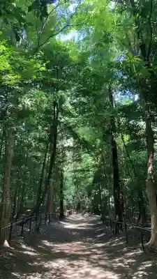 鷲宮神社(埼玉県)