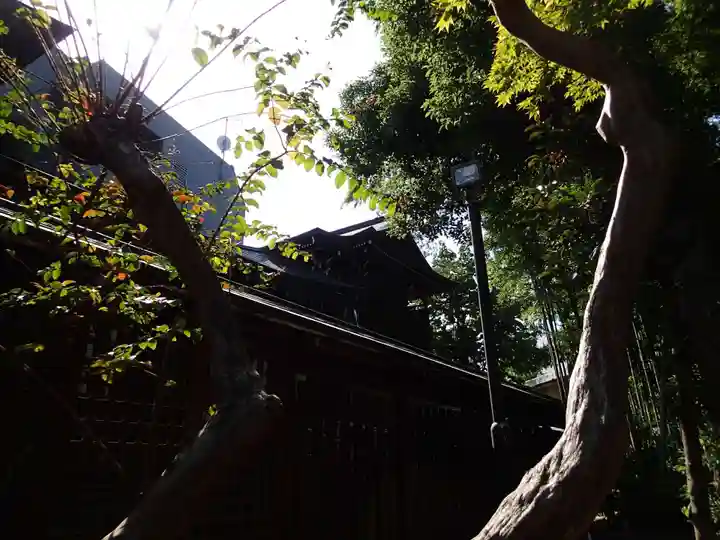 鳩森八幡神社のその他建物