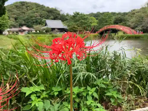 稱名寺(神奈川県)