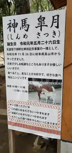 平塚八幡宮の歴史