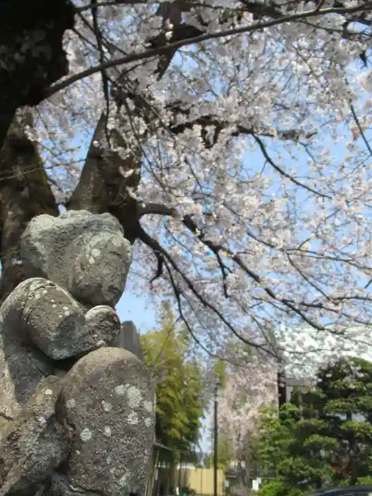 真光寺(千葉県)