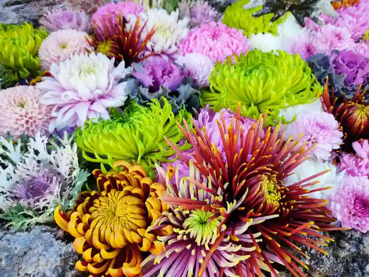 彌都加伎神社の手水舎