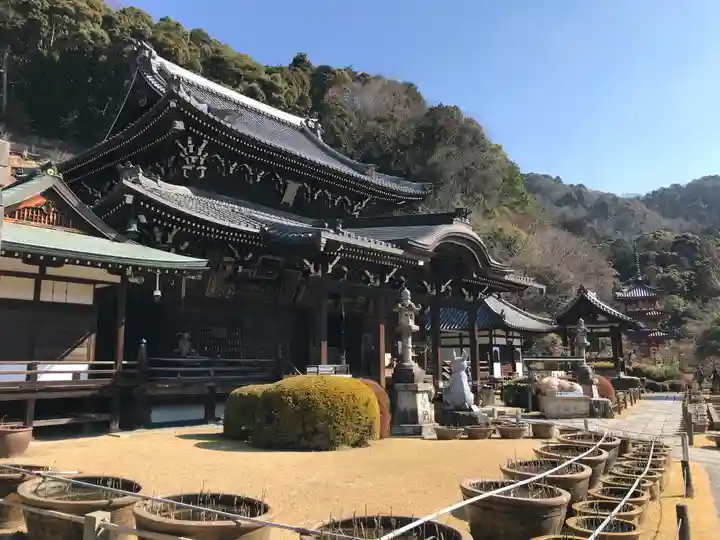 三室戸寺の本殿・本堂