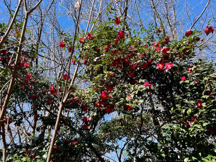 瑠璃光院薬師堂(東京都)