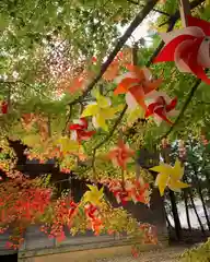 滑川神社 - 仕事と子どもの守り神のお祭り