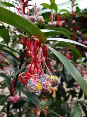 赤坂氷川神社(東京都)