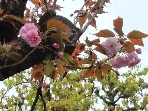 長専院不動寺(出世不動尊)(東京都)