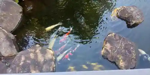 雲頂庵の庭園