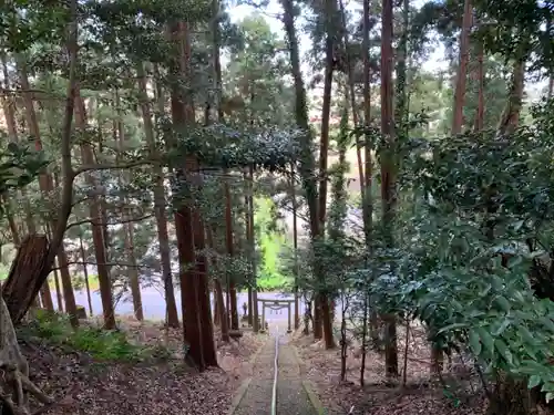 春日神社の景色