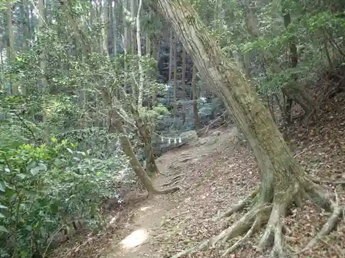 本宮神社（西寒多神社奥宮）の自然