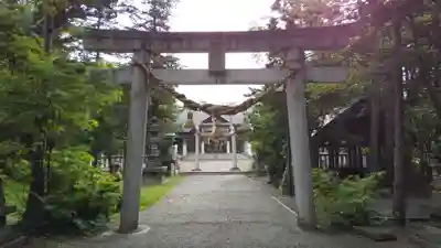 岩見澤神社の鳥居