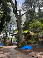 諏訪大社(長野県)