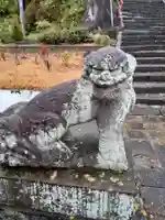 皇大神社の狛犬