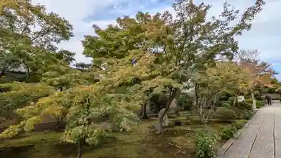 芳春院(京都府)