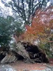 與止日女神社の自然