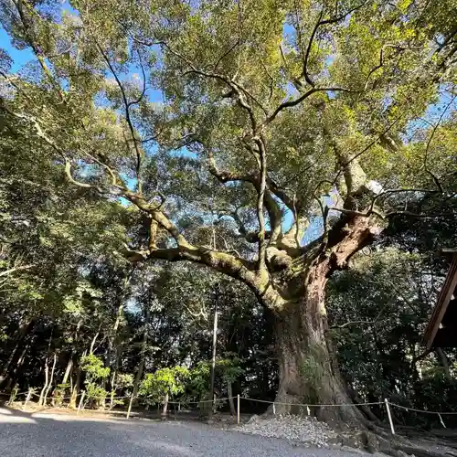 月夜見宮（豊受大神宮別宮）の自然