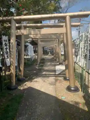 白金龍王社の鳥居