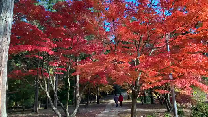 龍泉寺(岡山県)