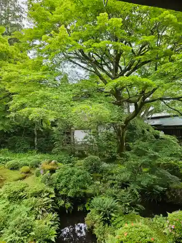 三千院門跡(京都府)